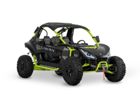 SX10 verde
